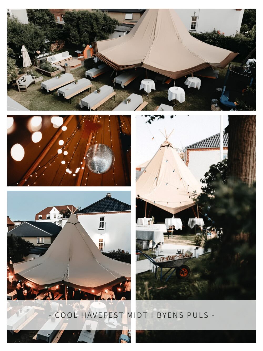 COOL HAVEFEST