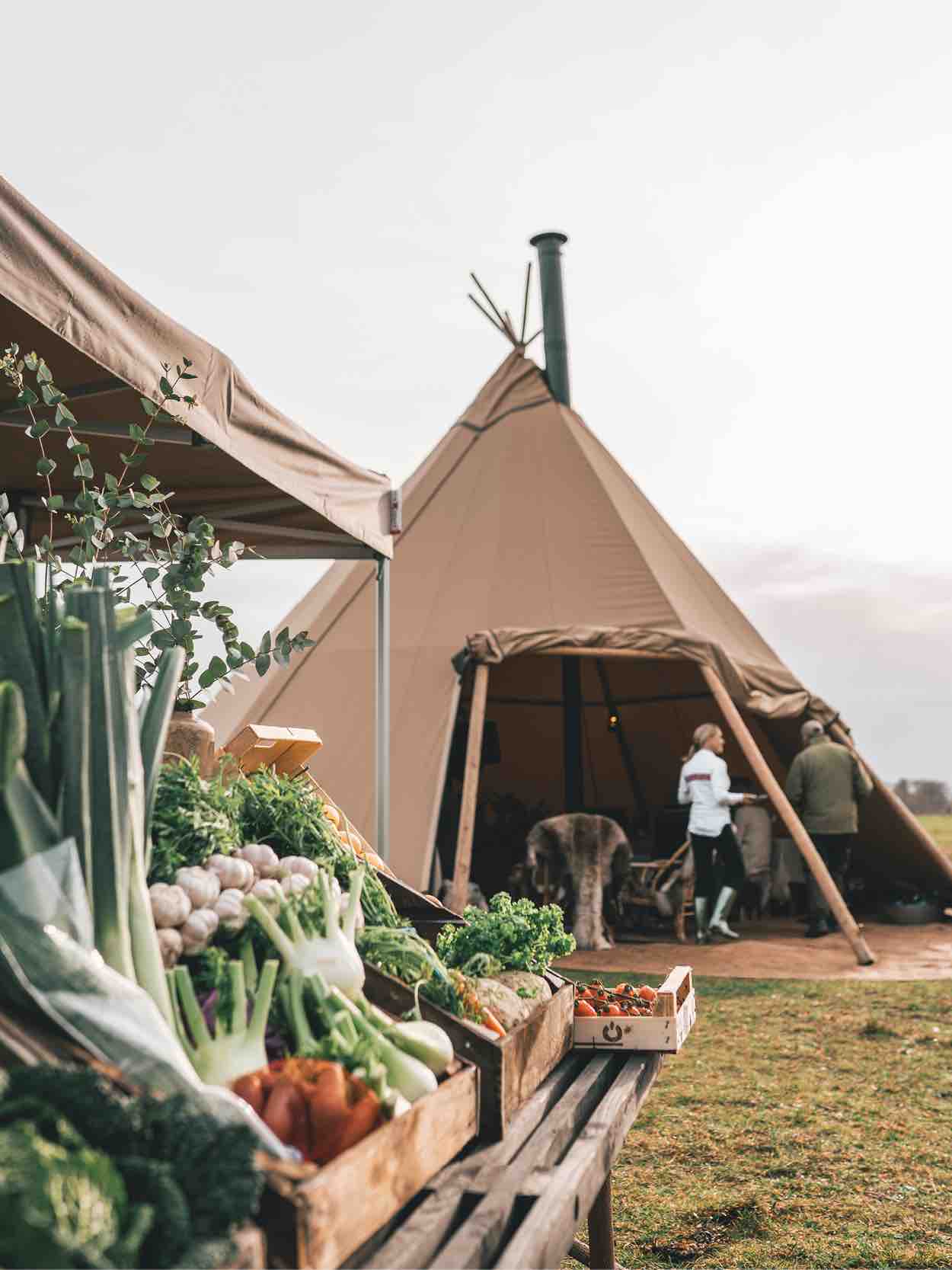 Luksustelte-tipi-udlejning2