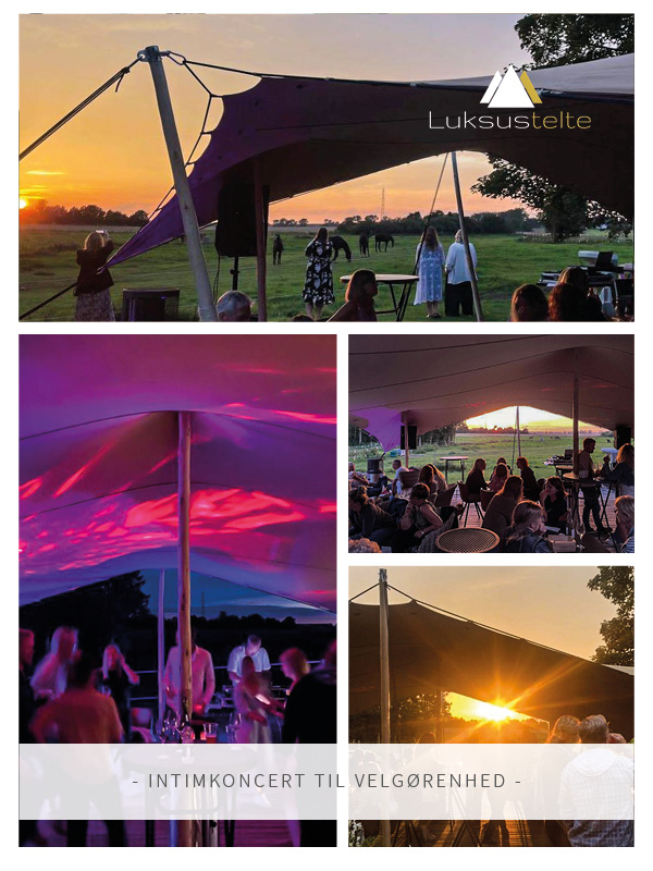 Intimkoncert i Stretch Tent