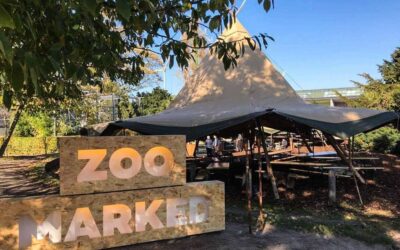 Tipitelte til julemarked i Zoo