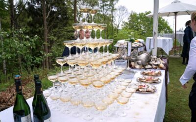 POPULÆRE DRINKS TIL FESTER I TELTE