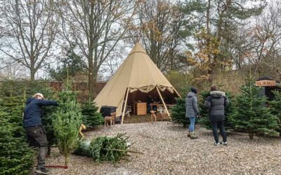 FÆLD SELV JULETRÆ MED TIPIHYGGE