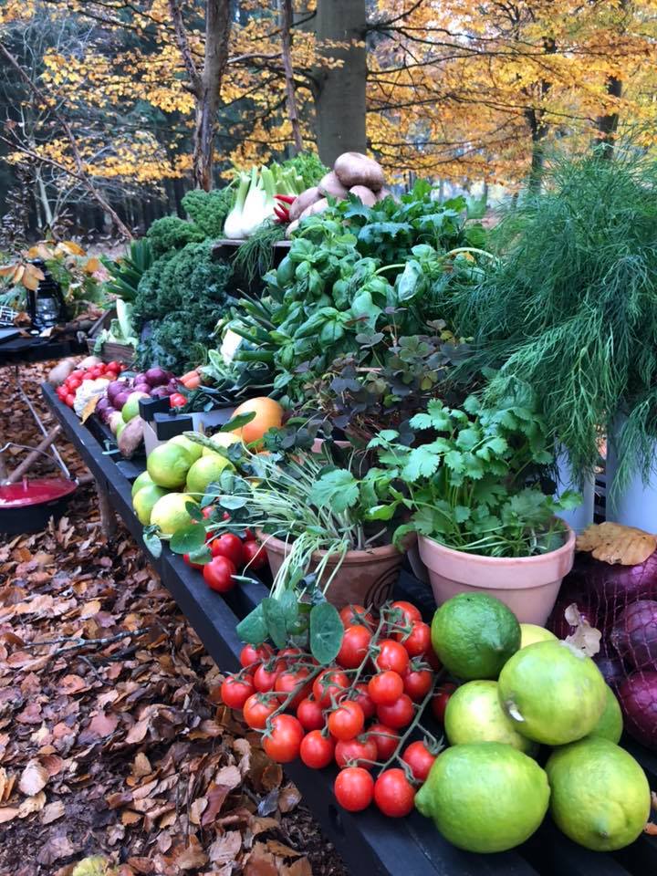 outdoor-arrangement-groensager