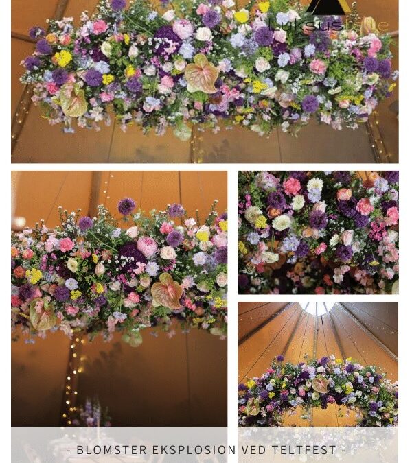 BLOMSTER EKSPLOSION VED TELTFEST