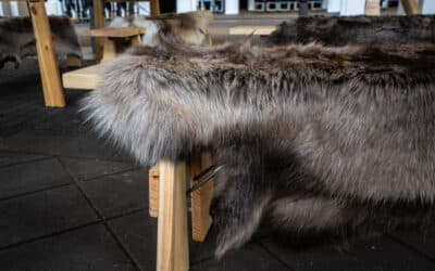 RENSKIND TIL BÆNKE V/ FESTER I TELTE