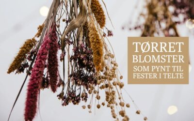 TØRREDE BLOMSTER V/ FESTER I TELTE