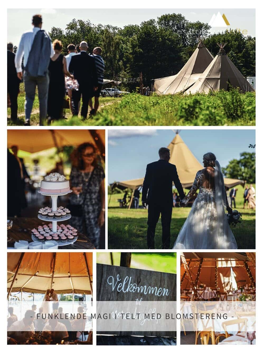 FUNKLENDE MAGI & BLOMSTERENG