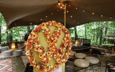 STRETCH TENT TIL FESTIVAL